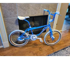1987 GT Pro Freestyle Tour Team Model