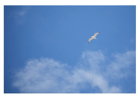 See this 'Awesome' approach to try and Increase your Sales Immediately!