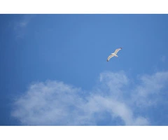 See this 'Awesome' approach to try and Increase your Sales Immediately!