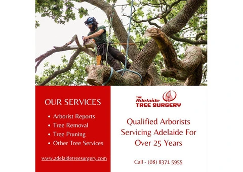 Best Tree Removal service in Adelaide