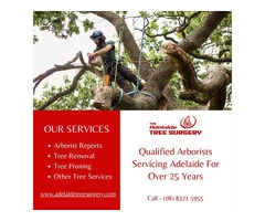 Best Tree Removal service in Adelaide