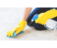 Carpet Steam Cleaning Services by Experts in Canberra