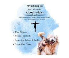 Wishing you a Happy Good Friday Bring More Awareness towards your Pets