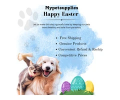 Best Wishes for Easter!! Have this Easter more special for your Pets