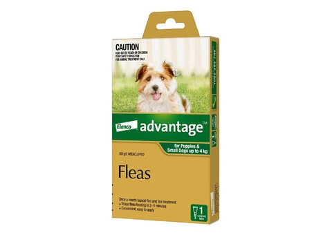 Buy Advantage for Small Dogs (Up to 4kg) Online - DiscountPetCare