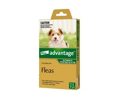 Buy Advantage for Small Dogs (Up to 4kg) Online - DiscountPetCare