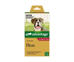 Advantage Red Pack for Large Dogs (10-25kg) - DiscountPetCare