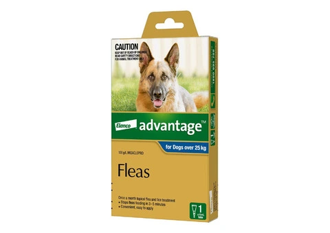 Extra Large Dog Flea Treatment - Advantage Blue Pack - DiscountPetCare