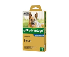 Extra Large Dog Flea Treatment - Advantage Blue Pack - DiscountPetCare