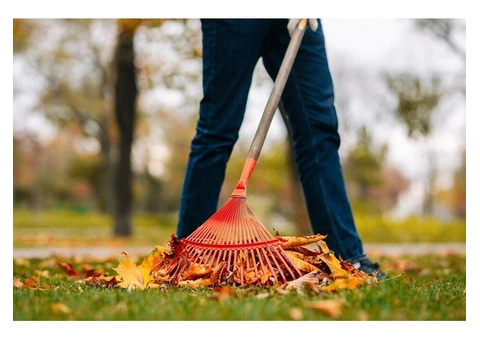 Limited Time Offer: Affordable Cleaning Near Parramatta!