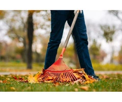 Limited Time Offer: Affordable Cleaning Near Parramatta!