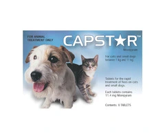 Capstar Blue Pack for Dogs - DiscountPetCare