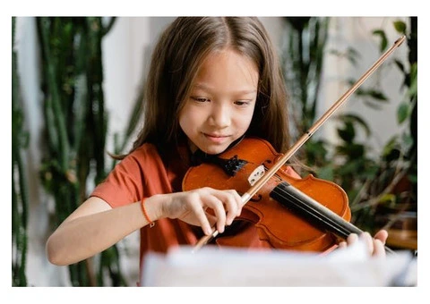 Learn Violin from Home at your own pace at fraction of Cost - 2/2
