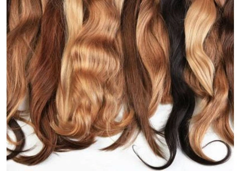 Discover Premium Hair Extension Suppliers