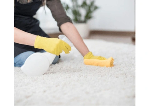 Carpet spot dyeing | De Vere Carpet and Leather Restorations