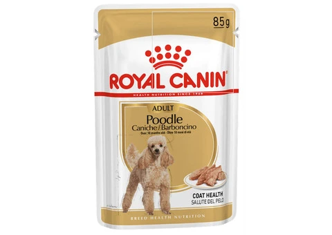 Royal Canin Poodle Adult Loaf Pouches Wet Dog Food - VetSupply