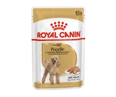 Royal Canin Poodle Adult Loaf Pouches Wet Dog Food - VetSupply