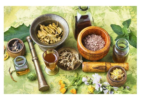 The Best Naturopathic & Homeopathic Consultant in Sydney