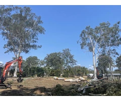 Tree Loppers Near Me