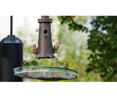 Enchanting Outdoor Elegance: Discover Premium Metal Bird Feeders in Australia