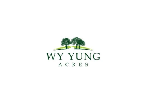 Plots for Sale in WY Yung