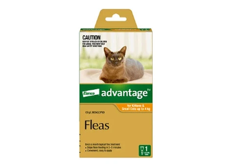 Advantage: Cat & Dog Flea Control | Low Prices - VetSupply