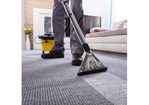 Carpet Cleaning Tips for Pet Owners on the Mornington Peninsula - 1/3