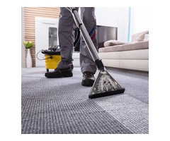 Carpet Cleaning Tips for Pet Owners on the Mornington Peninsula