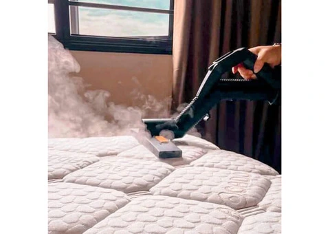 Carpet Cleaning Tips for Pet Owners on the Mornington Peninsula - 3/3