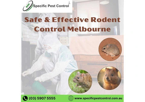 Safe & Effective Rodent Control Melbourne
