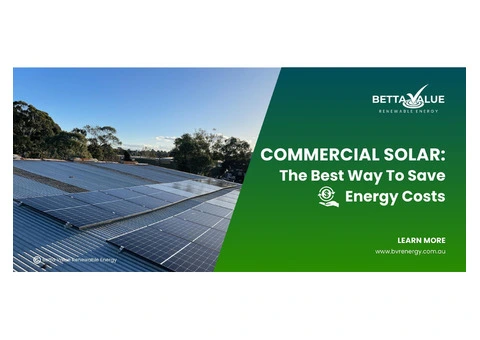 BVR Energy: Transforming Homes and Businesses with Top-Quality Solar Panels - 4/4
