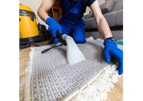 Hire Professional Carpet Cleaners in Perth Today