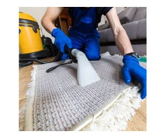 Hire Professional Carpet Cleaners in Perth Today