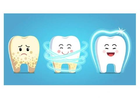Discover the Truth About Plaque with Emergency Dentist Banksia Grove