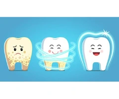 Discover the Truth About Plaque with Emergency Dentist Banksia Grove