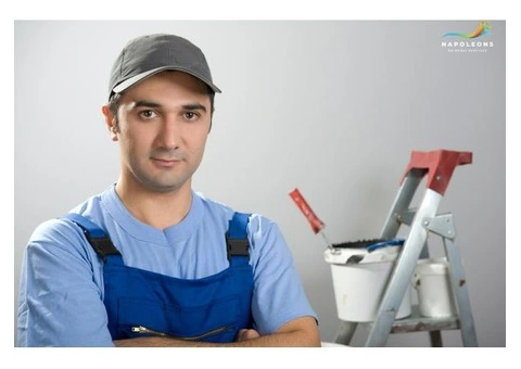 Expert Painter in Monterey for Superior Finishes