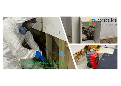 Expert Mould Removal Specialists in Melbourne