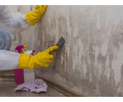 Water Damage Remediation Experts in Melbourne