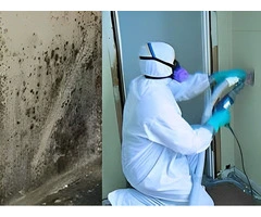 Reliable Sewage Cleaning Services in Melbourne