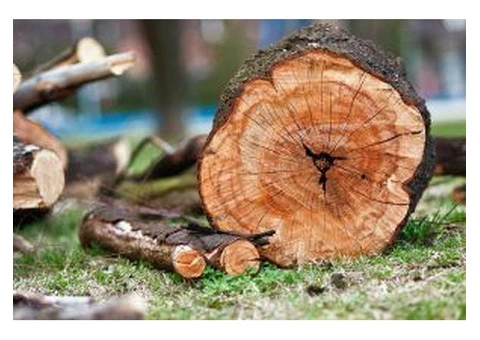 Stump Removal Sydney