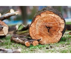 Stump Removal Sydney