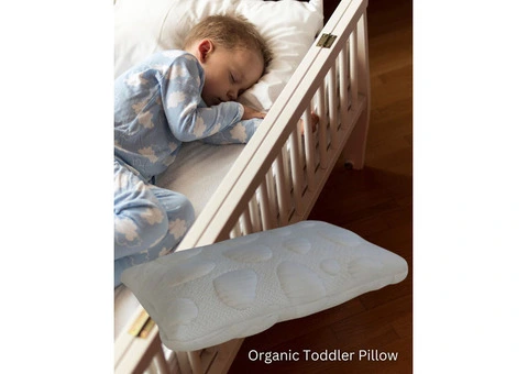 Milari Organics Presents: Organic Toddler Pillow