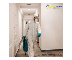 Best pest control cleaning in brisbane​