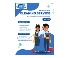 Upholstery Cleaning Deer Park