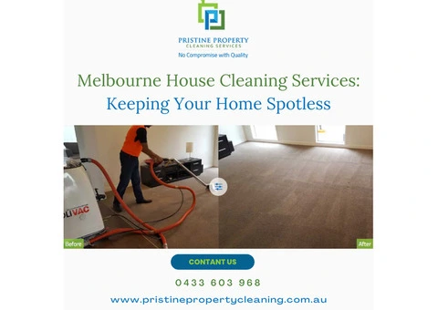 Affordable Carpet Steam Cleaners: Revive Your Floors on a Budget
