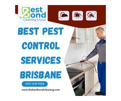 Find the Best Pest Control Services Brisbane