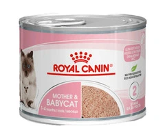 Royal Canin Mother & Babycat Wet Cat Food - VetSupply
