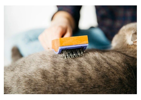 Carpet Cleaning Wyndham Vale - 1300–888–437