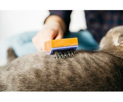 Carpet Cleaning Wyndham Vale - 1300–888–437