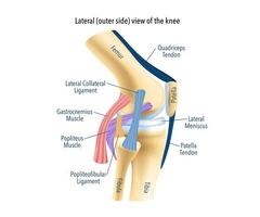 Ease the Strain with Knee Specialist in Melbourne